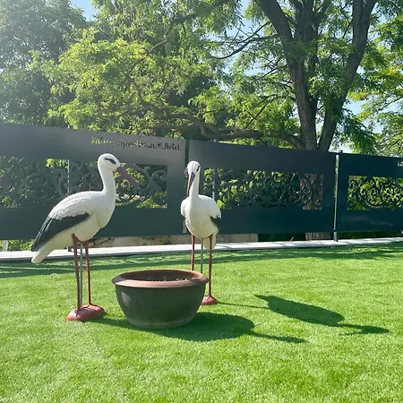 Katica Szallas Balatonkenese